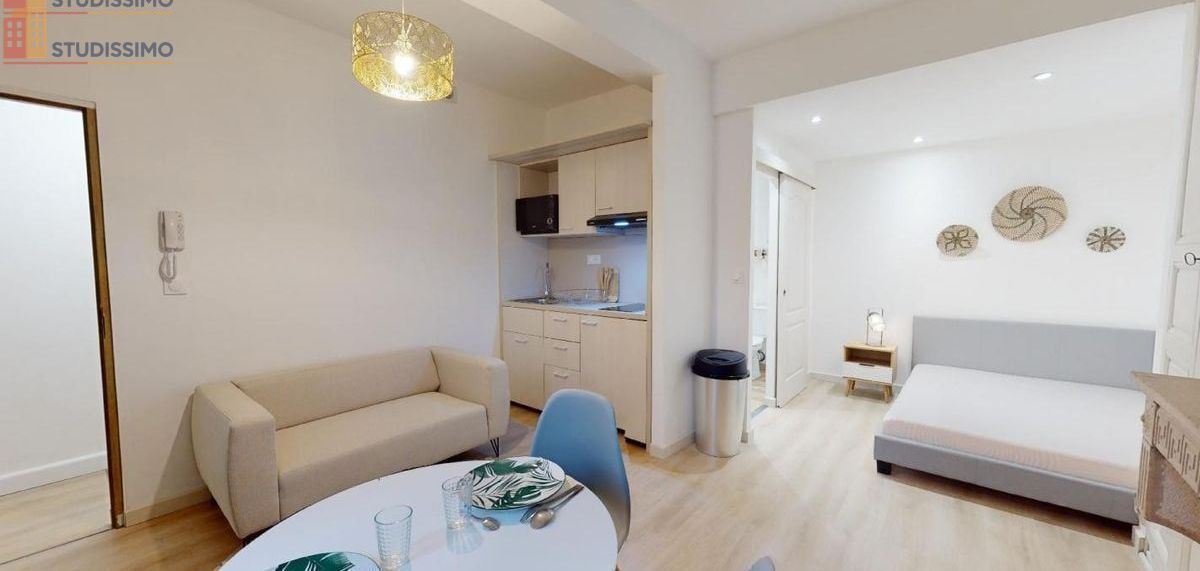 Studio meublé 24m² Mâcon - Meublé, DPE C - Photo 11