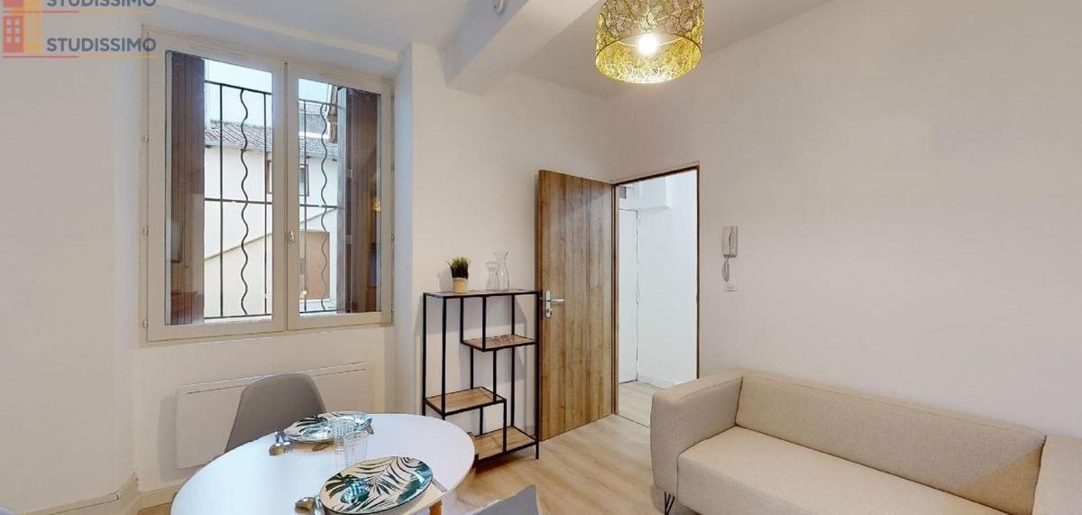 Studio meublé 24m² Mâcon - Meublé, DPE C - Photo 7