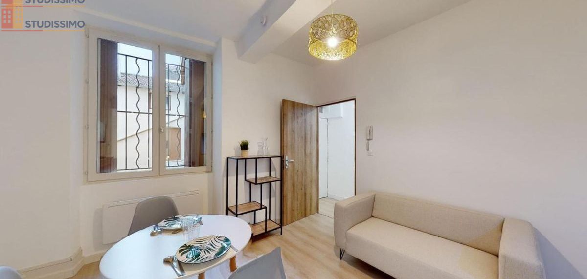 Studio meublé 24m² Mâcon - Meublé, DPE C - Photo 6