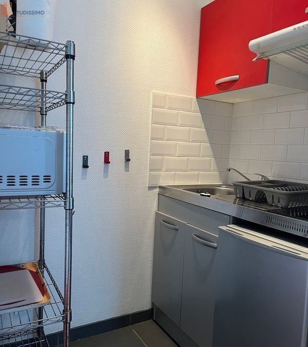 Studio meublé 19m² Pau centre - Hyper centre, proximité lycée - Photo 2