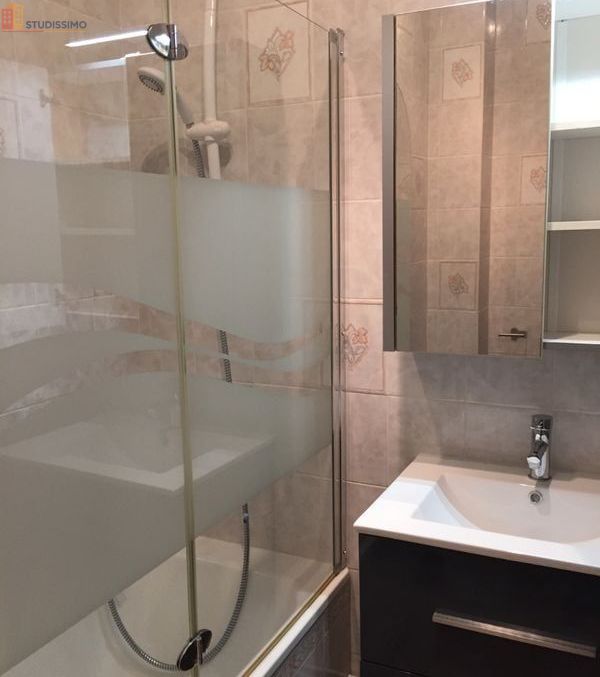 Studio meublé 25m² Chalon-sur-Saône - Meublé, DPE D - Photo 2