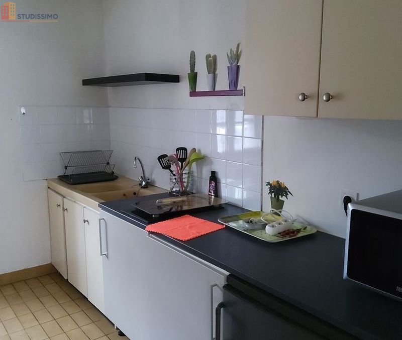 Studio meublé 35m² Le Creusot - Meublé, DPE C - Photo 2