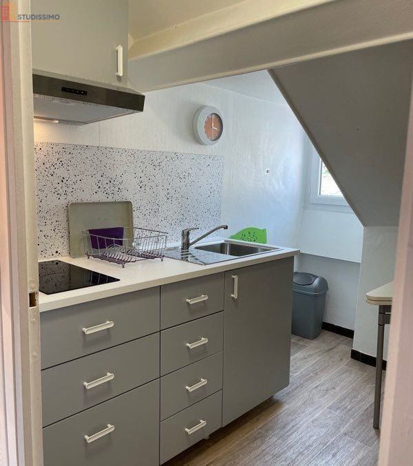 Studio meublé 22m² Pau centre - Meublé, lumineux - Photo 1