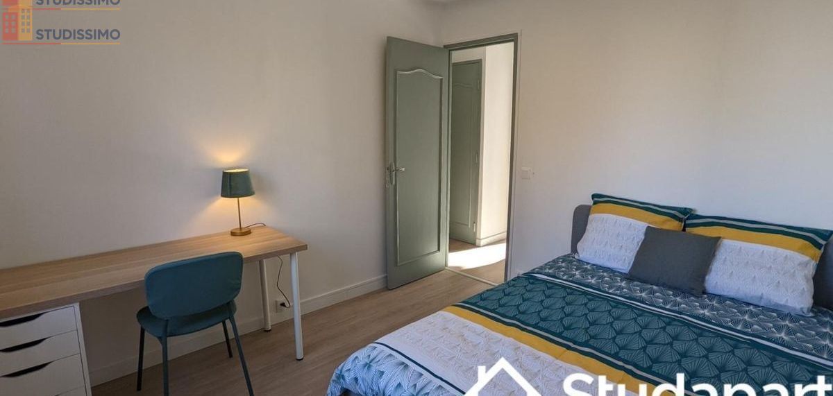 Studio meublé 9m² Pau 64000 - Meublé, DPE A - Photo 4