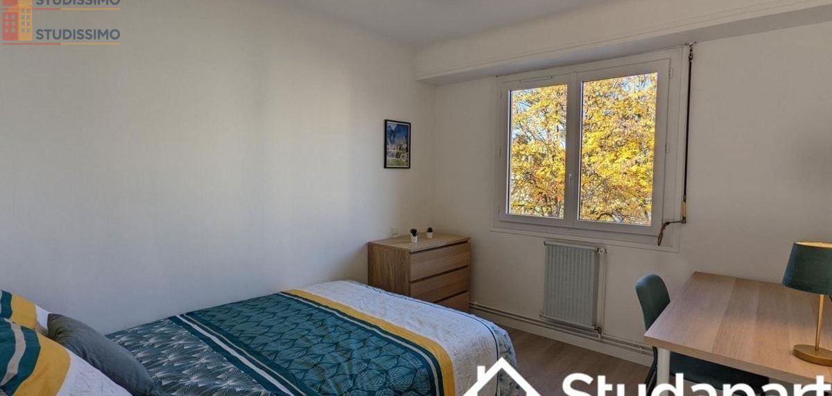 Studio meublé 9m² Pau 64000 - Meublé, DPE A - Photo 3
