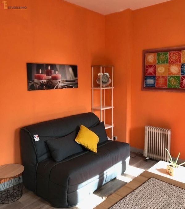 Studio meublé 20m² Oloron-Sainte-Marie - Meublé, calme - Photo 2
