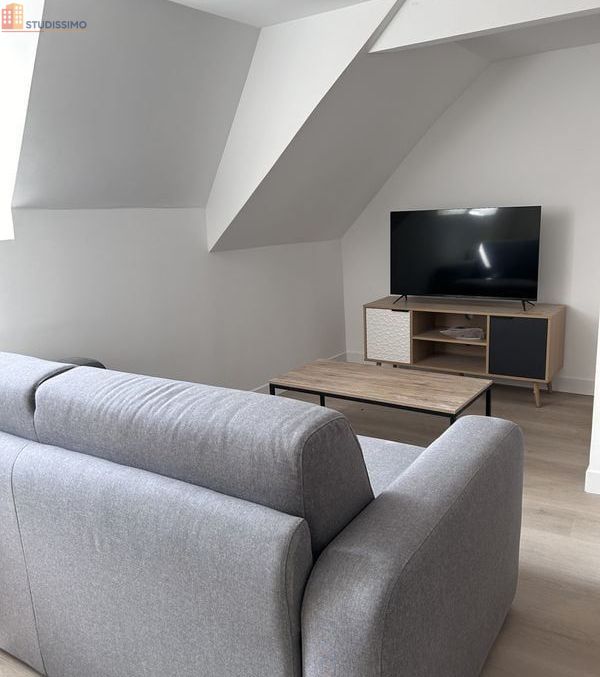 Studio meublé 27m² Le Mans centre - Lumineux - Photo 1