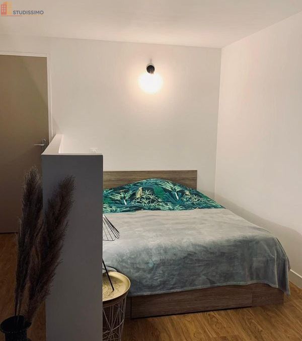 Studio 31m² Montfort-le-Gesnois - 1 pièce - Photo 3