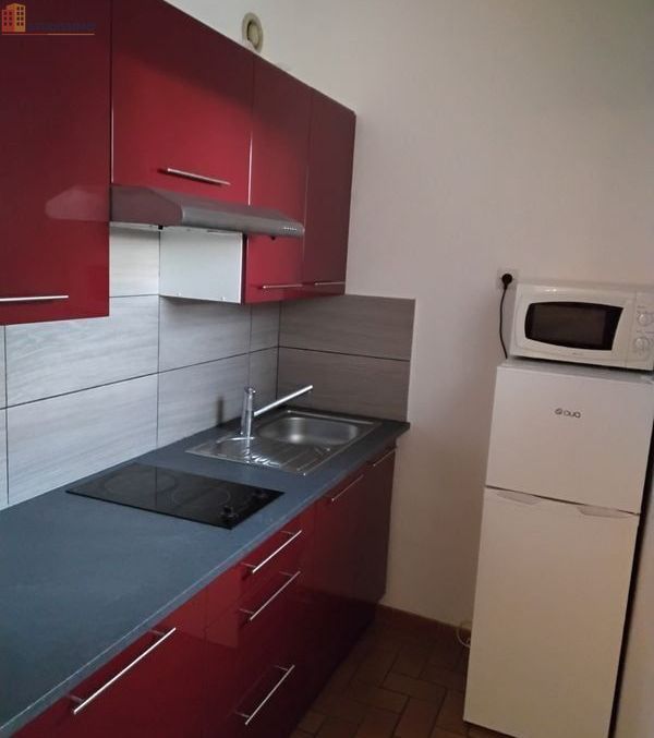 Studio meublé 32m² Oloron-Sainte-Marie - Meublé, 1er étage - Photo 1