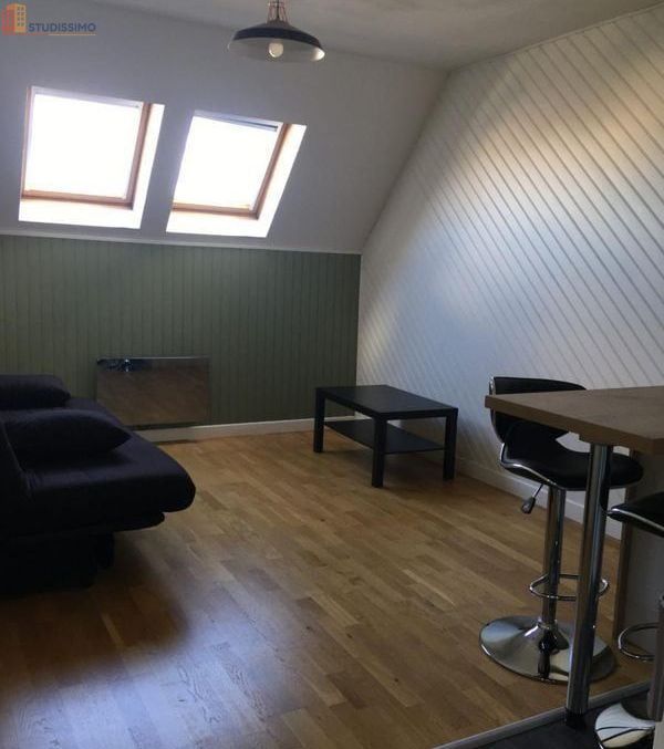Studio 21m² Le Mans - lumineux - Photo 4