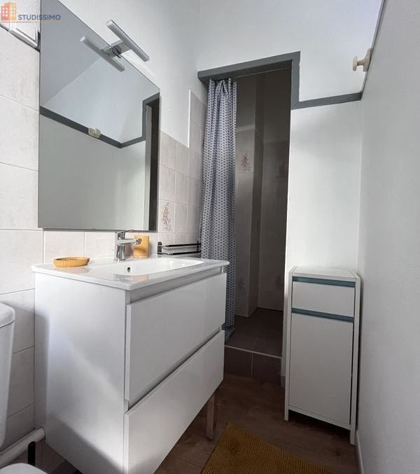 Studio 17m² Pau centre - Meublé, lumineux - Photo 3