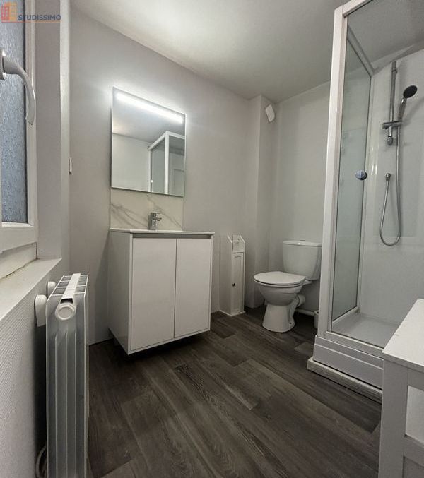 Studio 20m² Le Mans centre - Meublé, lumineux - Photo 2
