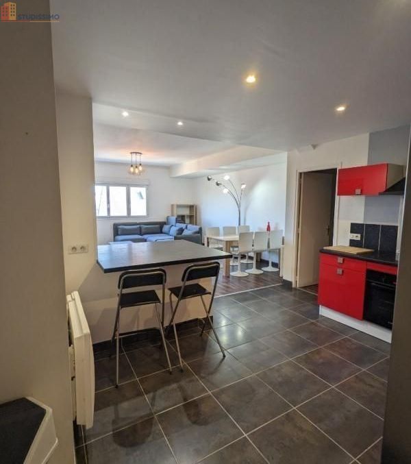 Studio 14m² Le Mans - Meublé, DPE D - Photo 3