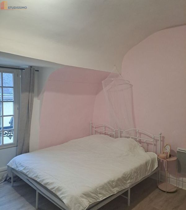 Studio meublé 30m² La Flèche centre - 2e étage, lumineux - Photo 2
