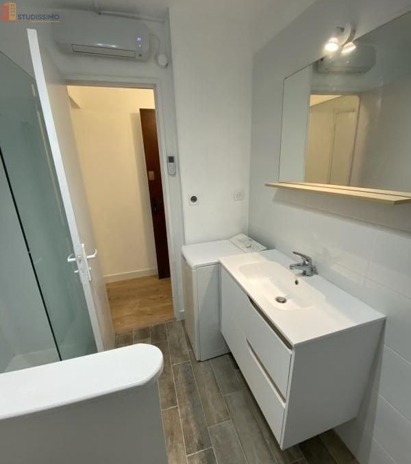 Studio 25m² Le Grau-du-Roi - 2e étage, DPE C - Photo 4