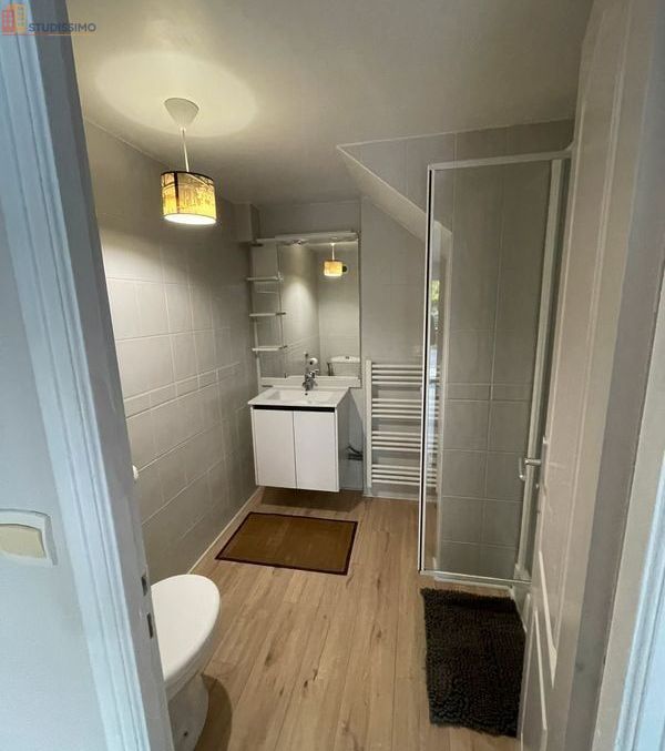 Studio meublé 24m² Le Mans centre - Indépendant, chez l'habitant - Photo 1
