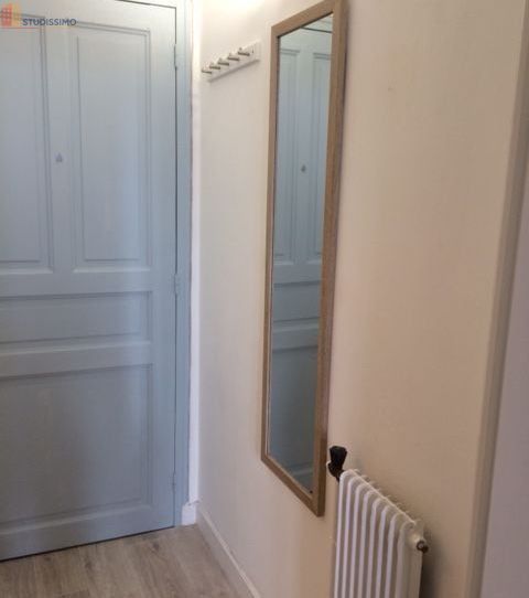 Studio meublé 19m² Le Mans - Meublé, centre-ville - Photo 2