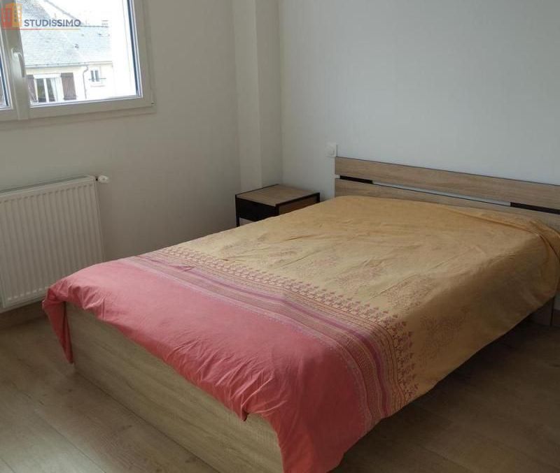 Studio 35m² Sablé-sur-Sarthe - Meublé, DPE A - Photo 11
