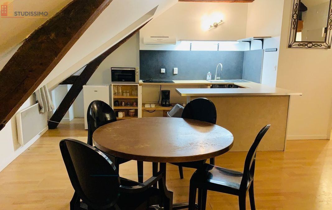 Studio meublé 40m² Le Mans centre - Duplex, lumineux - Photo 5