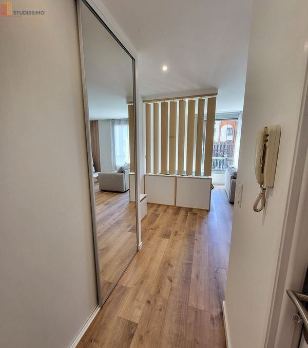 Studio meublé 32m² Pau centre - Lumineux, entièrement rénové - Photo 3