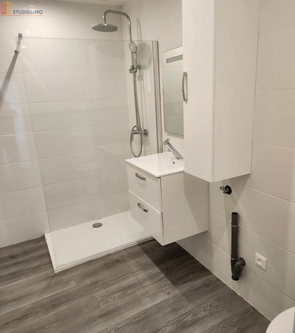 Studio 40m² Sauveterre-de-Béarn - Meublé, lumineux - Photo 3