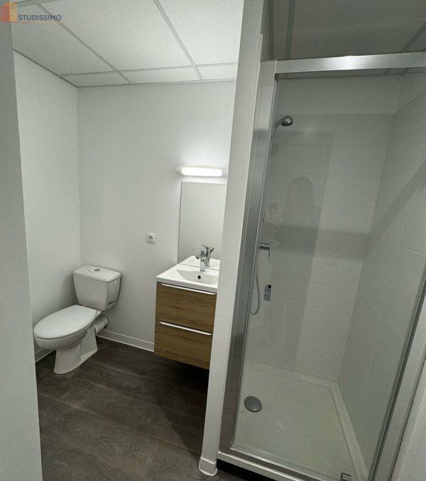Studio meublé 18m² Le Mans centre - Idéal étudiant, lumineux - Photo 4