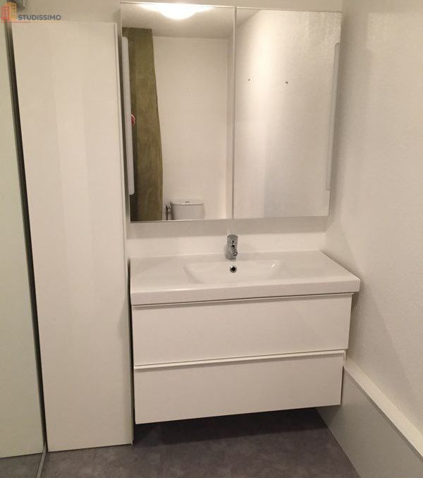 Studio meublé 27m² Chambéry centre - Calme, lumineux - Photo 1