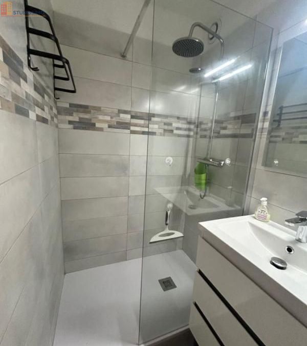 Studio 20m² Le Grau-du-Roi - DPE C - Photo 6