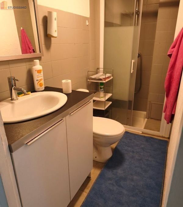 Studio meublé 45m² Grand-Aigueblanche - Meublé, DPE D - Photo 2