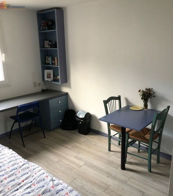 Studio 19m² Chambéry centre - Meublé, lumineux - Photo 4