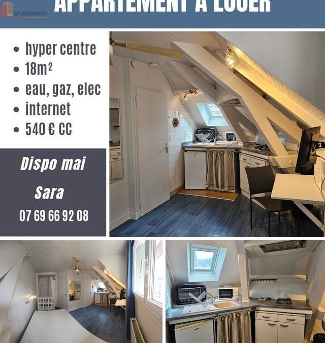 Studio 18m² Aix-les-Bains centre-ville - Photo 5