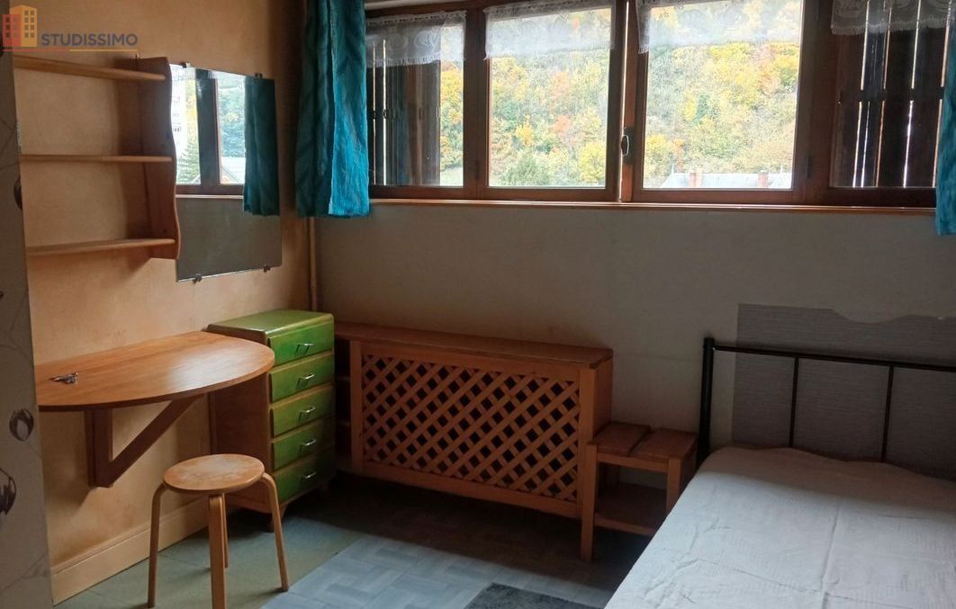 Studio 10m² Salins-Fontaine 73600 - Photo 2