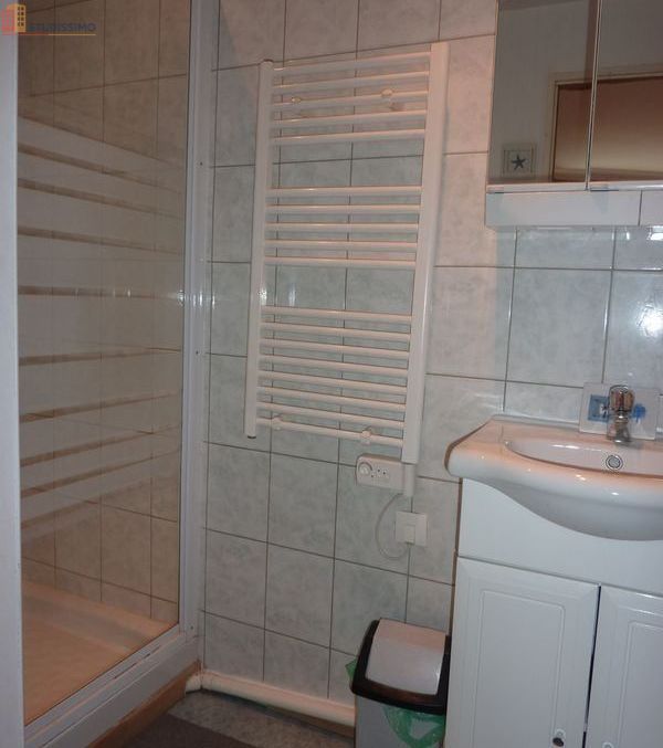 Studio 18m² Brides-les-Bains - Centre, proche parc - Photo 3