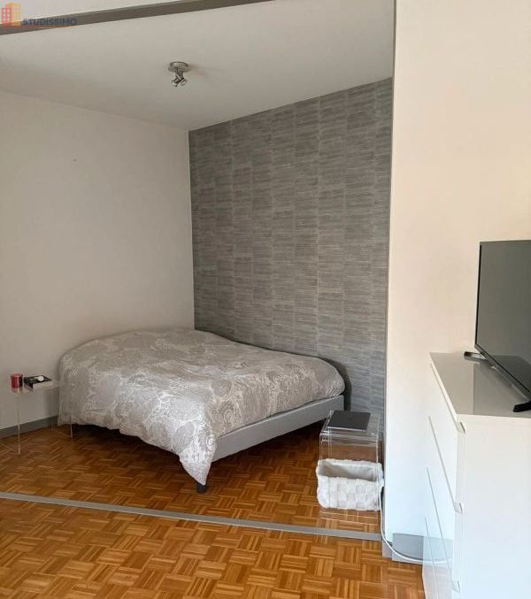 Studio meublé 31m² Barberaz - Lumineux, étage élevé - Photo 1