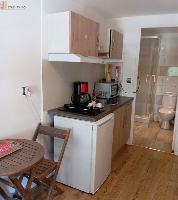 Studio 18m² Grand-Aigueblanche 73260 - Meublé, lumineux - Photo 4
