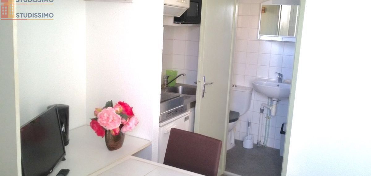 Studio meublé 15m² Aix-les-Bains 73100 - Plein sud, proche gare - Photo 3