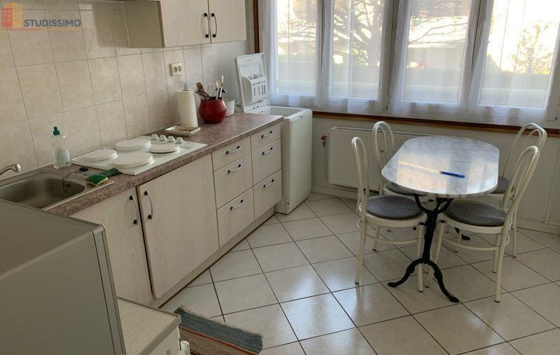 Studio meublé 34m² Annemasse - Proche Genève, meublé - Photo 5