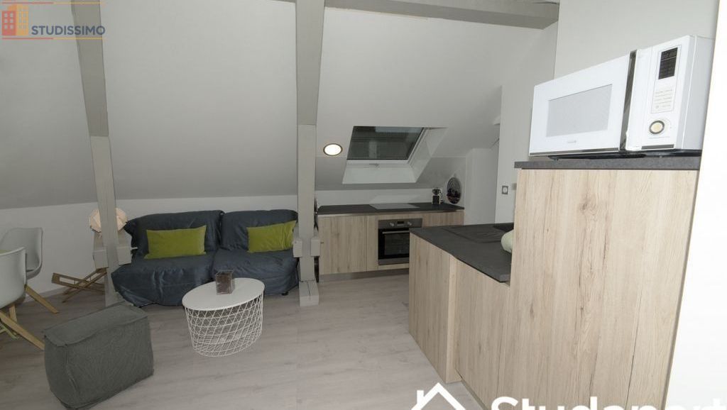 Studio 9m² Cluses - Meublé, lumineux - Photo 9