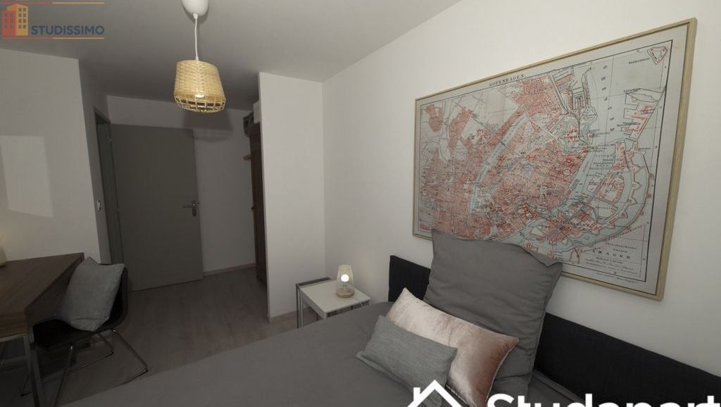 Studio 9m² Cluses - Meublé, lumineux - Photo 6