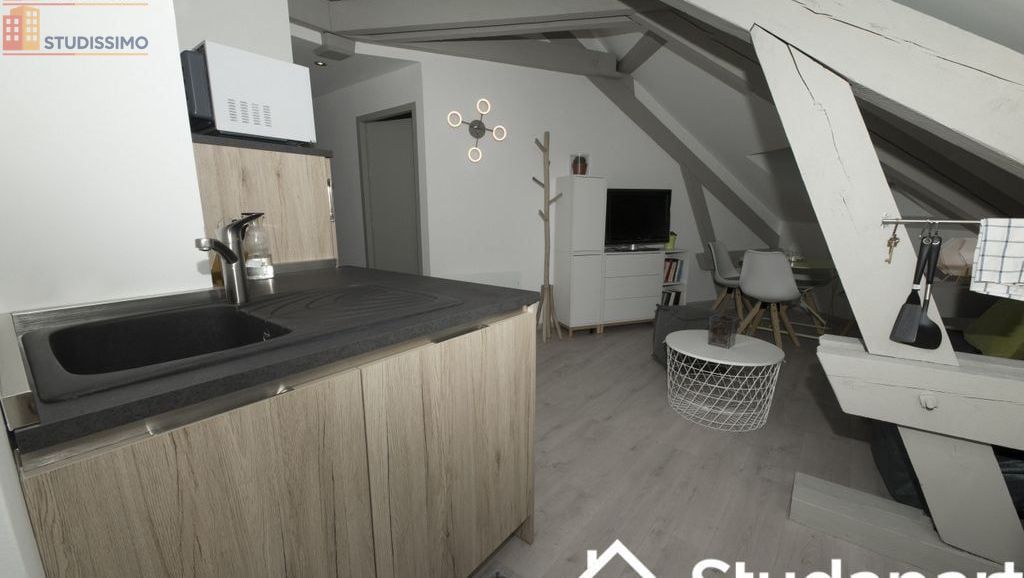 Studio 9m² Cluses - Meublé, lumineux - Photo 5