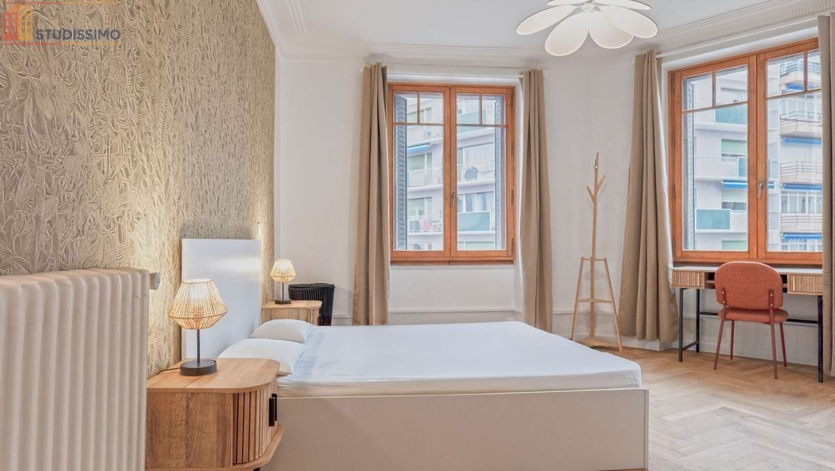 Studio meublé 19m² Annemasse - Sdb et wc privatifs - Photo 4