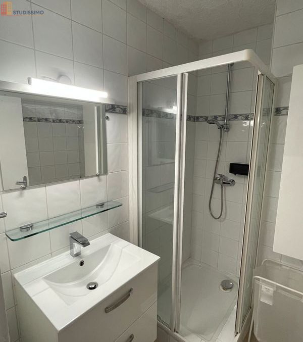 Studio meublé 33m² Ambilly - Terrasse, vue - Photo 15
