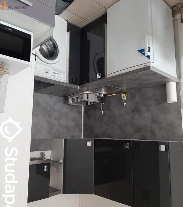 Studio meublé 25m² Annemasse - Meublé, DPE A - Photo 4