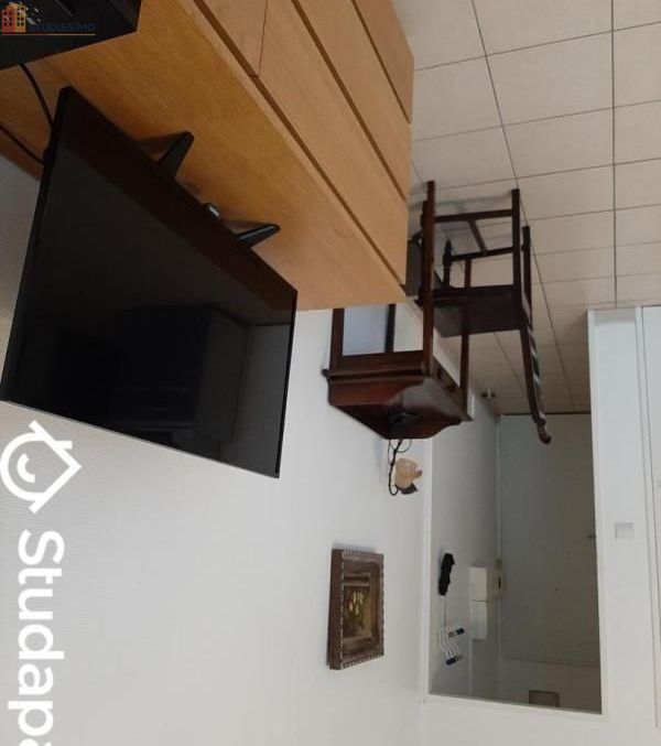 Studio meublé 25m² Annemasse - Meublé, DPE A - Photo 1