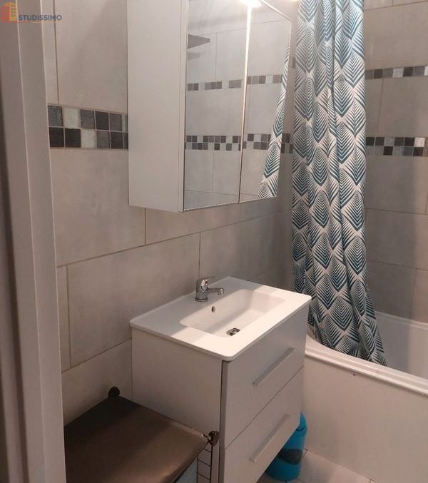 Studio meublé 29m² Gaillard - Lumineux, meublé - Photo 4
