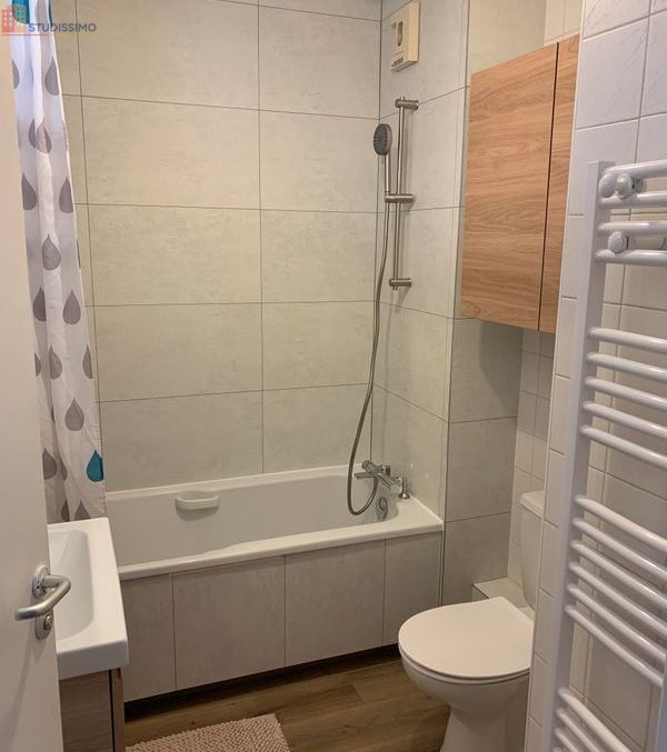 Studio meublé 32m² Annemasse - Balcon, parking proche parc - Photo 2