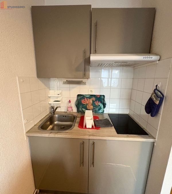 Studio 22m² Cazaubon - Meublé, proche thermes et parc - Photo 2