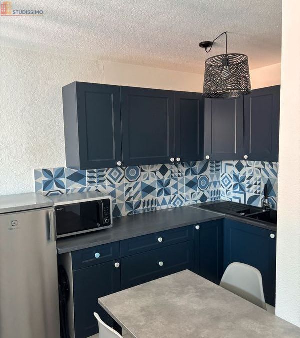 Studio meublé 23m² Thonon-les-Bains - Meublé, DPE C - Photo 4