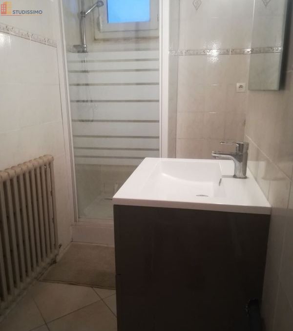 Studio 20m² Annecy - Meublé, dernier étage - Photo 1