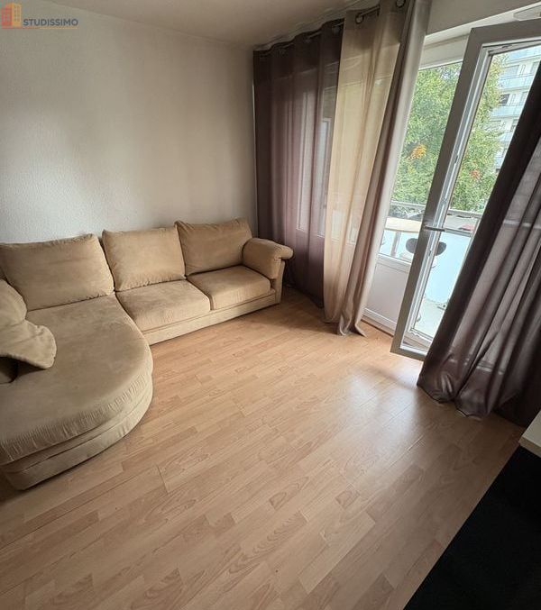 Studio meublé 28m² Saint-Julien-en-Genevois - Meublé, 1 pièce - Photo 13